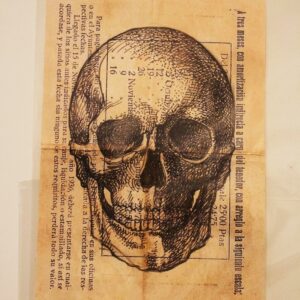 MoneyArtSkull on banknote